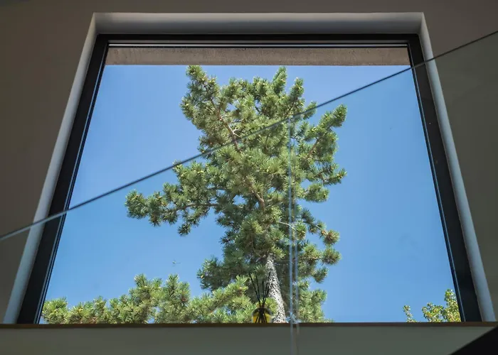 Argento Villa Zagvozd