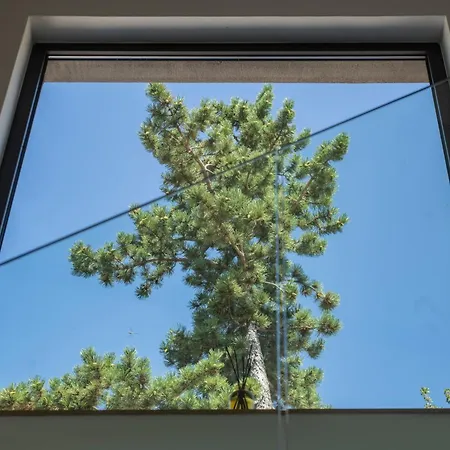 Argento فيلة Zagvozd